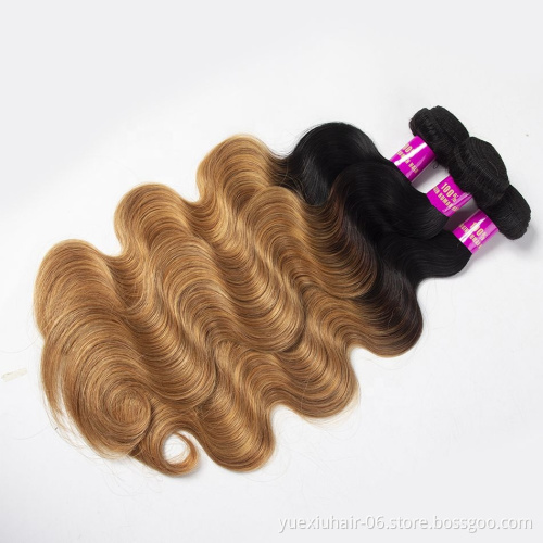 CELIE Body Wave 1B/27 Ombre Women Human Hair Mink 100% Virgin Hair Good Quality Human Hair Bulk